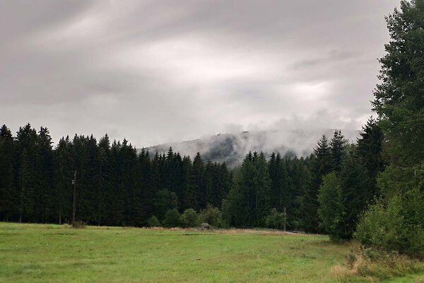 Natur Natur im Bayerischen Wald